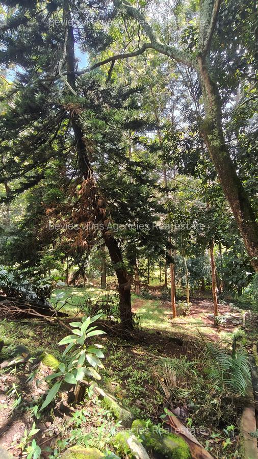 Residential Land at Kyuna - 4