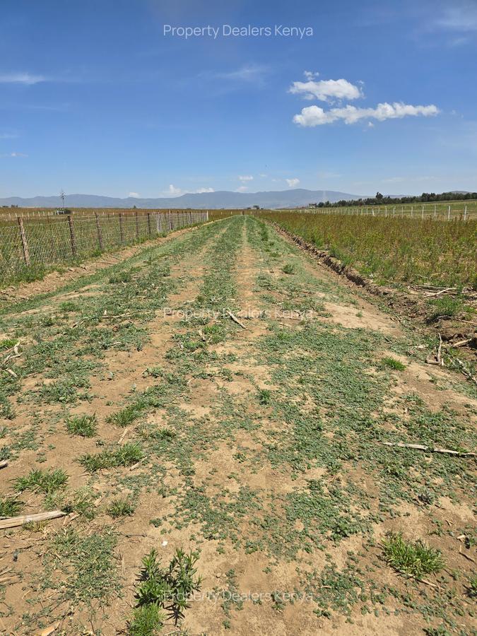 Residential Land at Moi Ndabi - 3