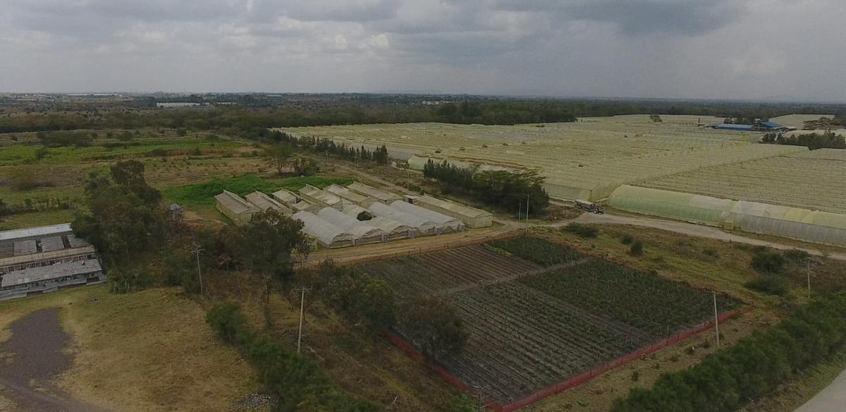 3.5 ac Land at Opposite Pj Dave - 3