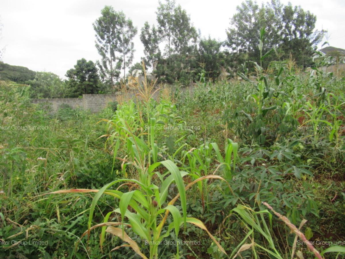 Residential Land at Mushroom Gardens - 9