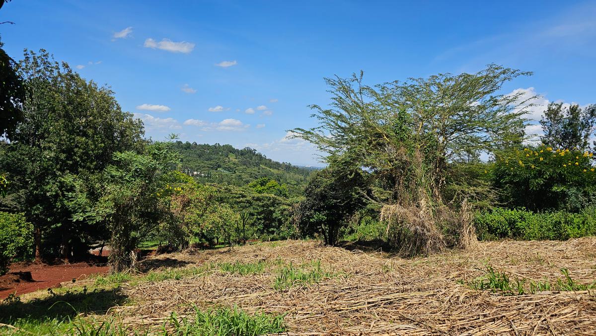 506 m² Land at Near Citam - 7