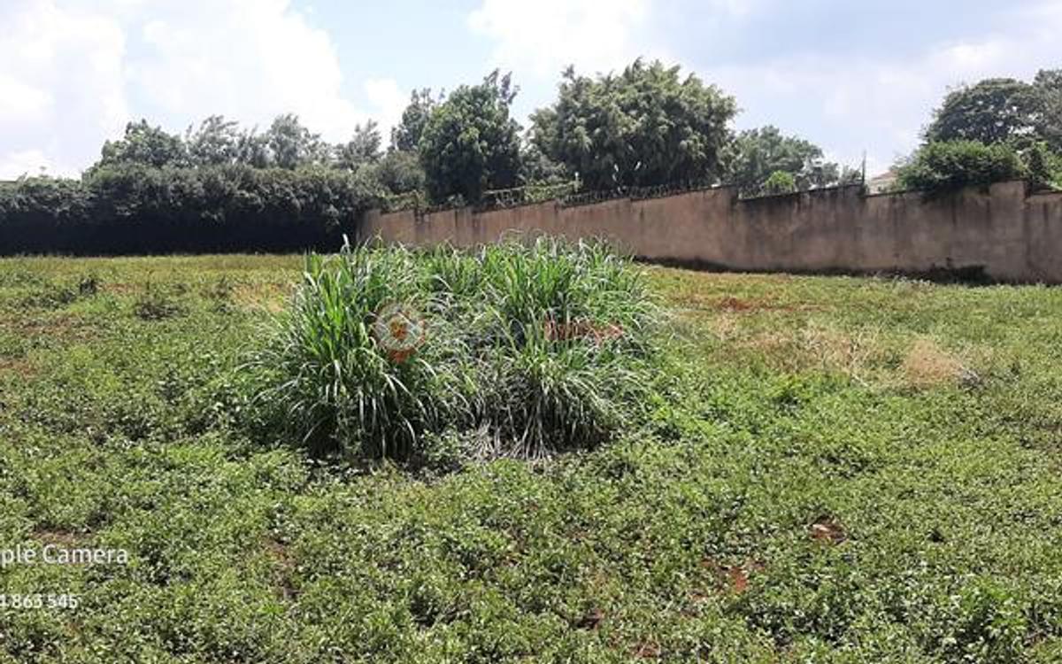 Residential Land at Runda Mumwe - 1