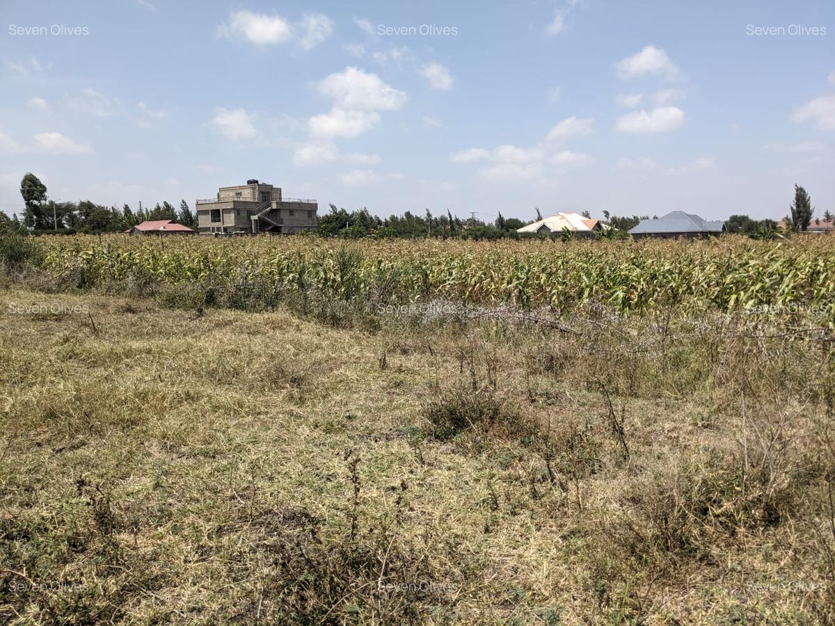 0.25 ac Land in Ruai - 1