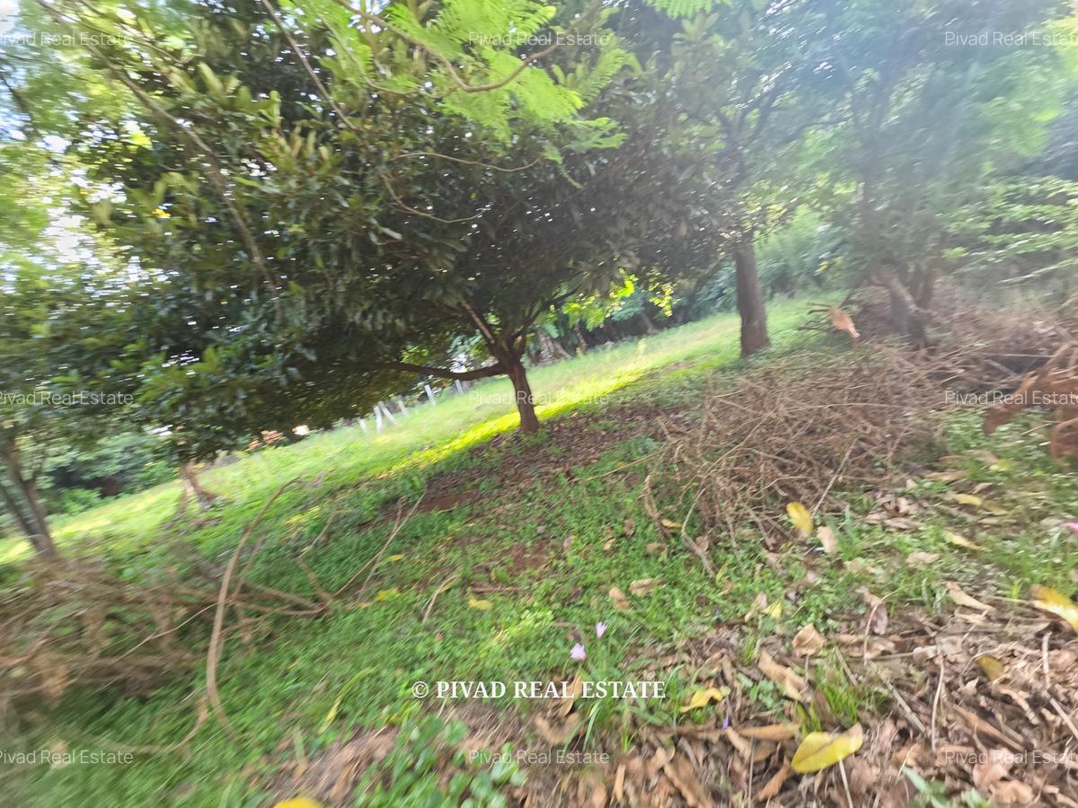 1 ac Land in Runda - 1