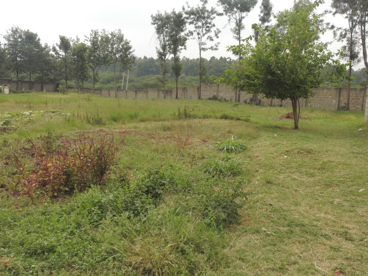 1.3 ac Land at Karen Plains - 5