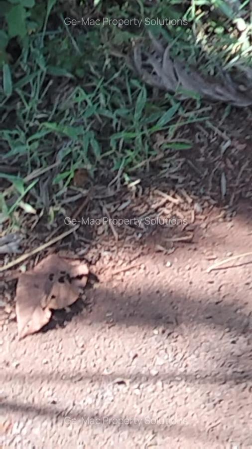 Land in Kitisuru - 4