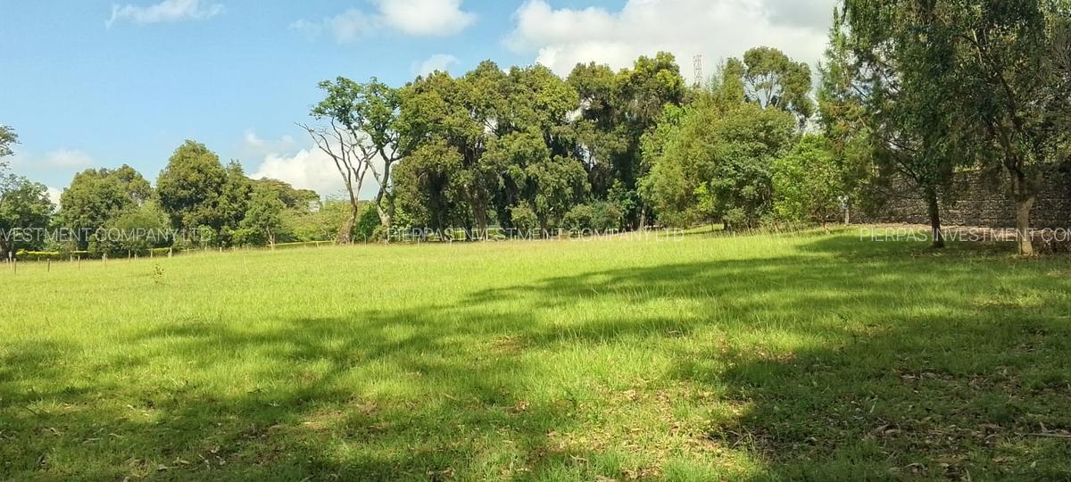 1 ac Land in Karen - 2