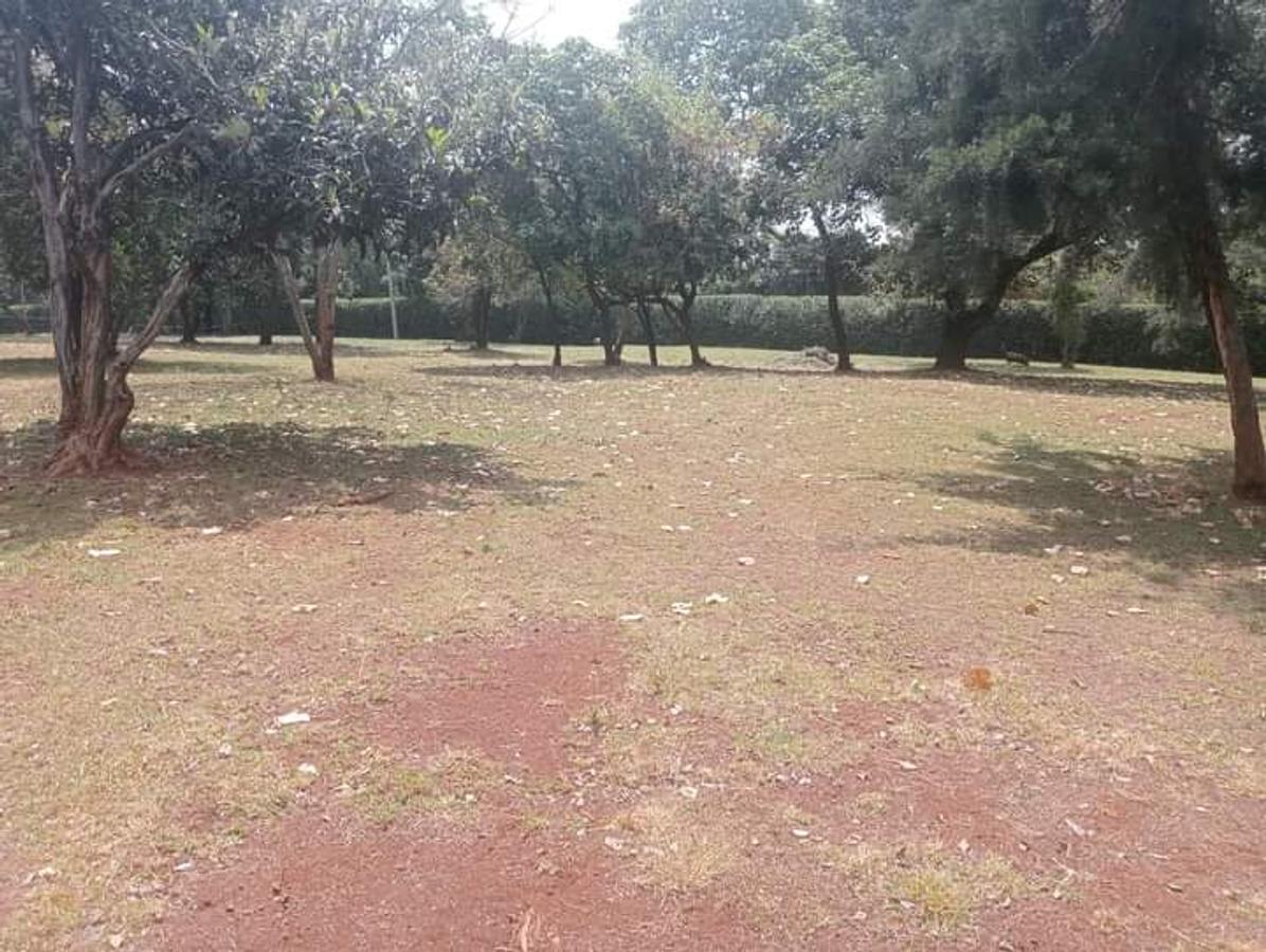 3 ac Land in Karen - 3