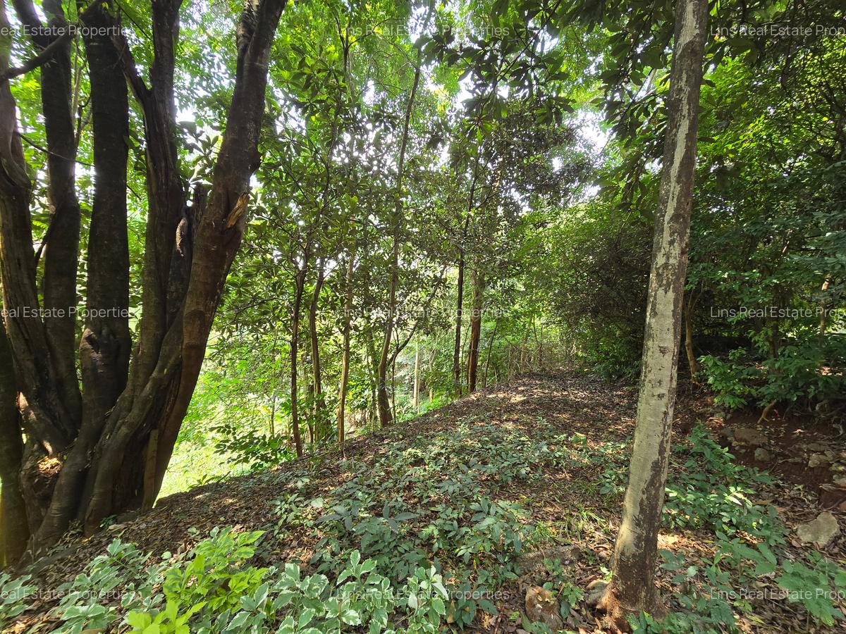 4 Bed House with En Suite in Gigiri - 9