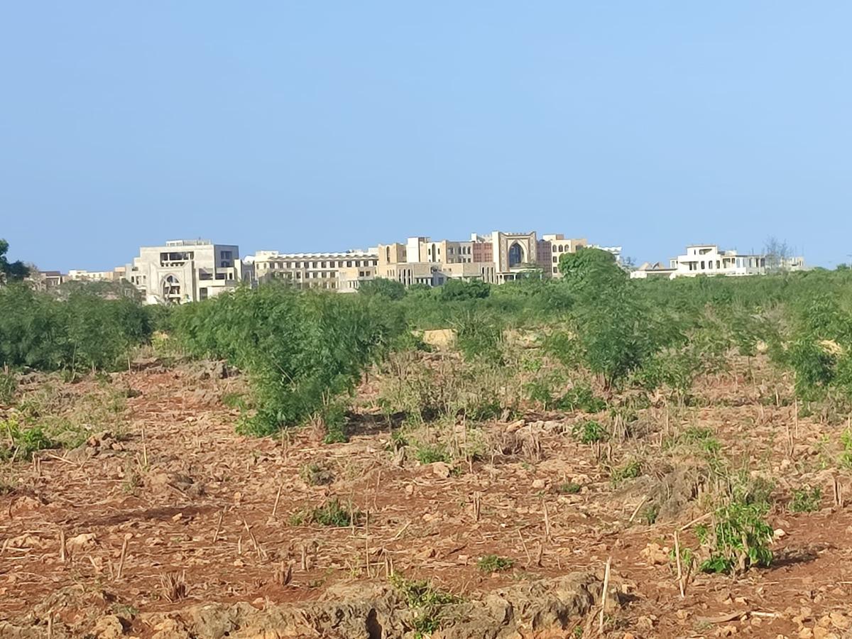 Land at Vipingo - 7