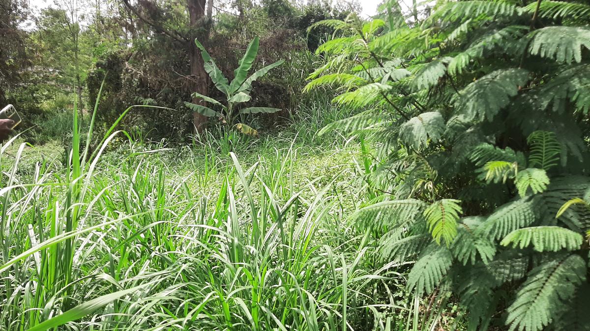 Residential Land at Bul Bul - 13