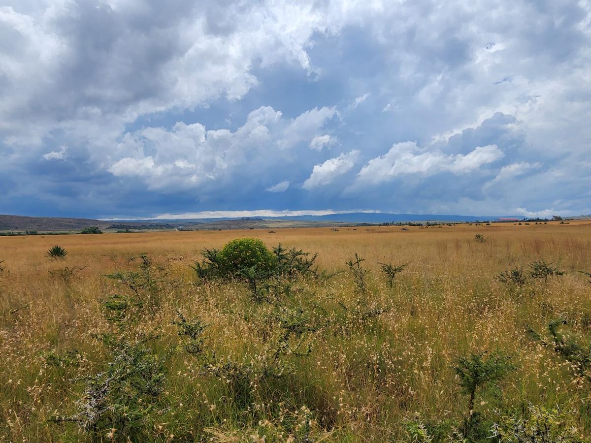 2.710 ac Commercial Land at Mai Mahiu Road - 3