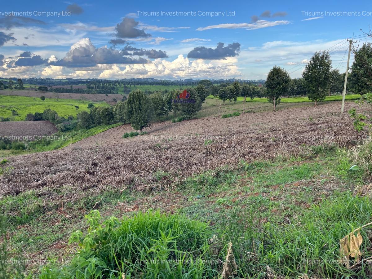 40 ac Land in Limuru - 10