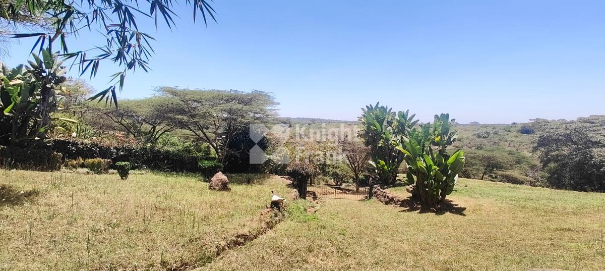 3 Bed House with Staff Quarters at Maasai Lodge Road - 6