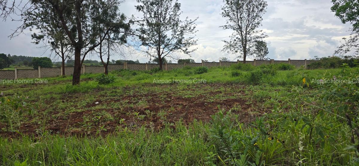 0.1 ha Residential Land at Thika Green - 2