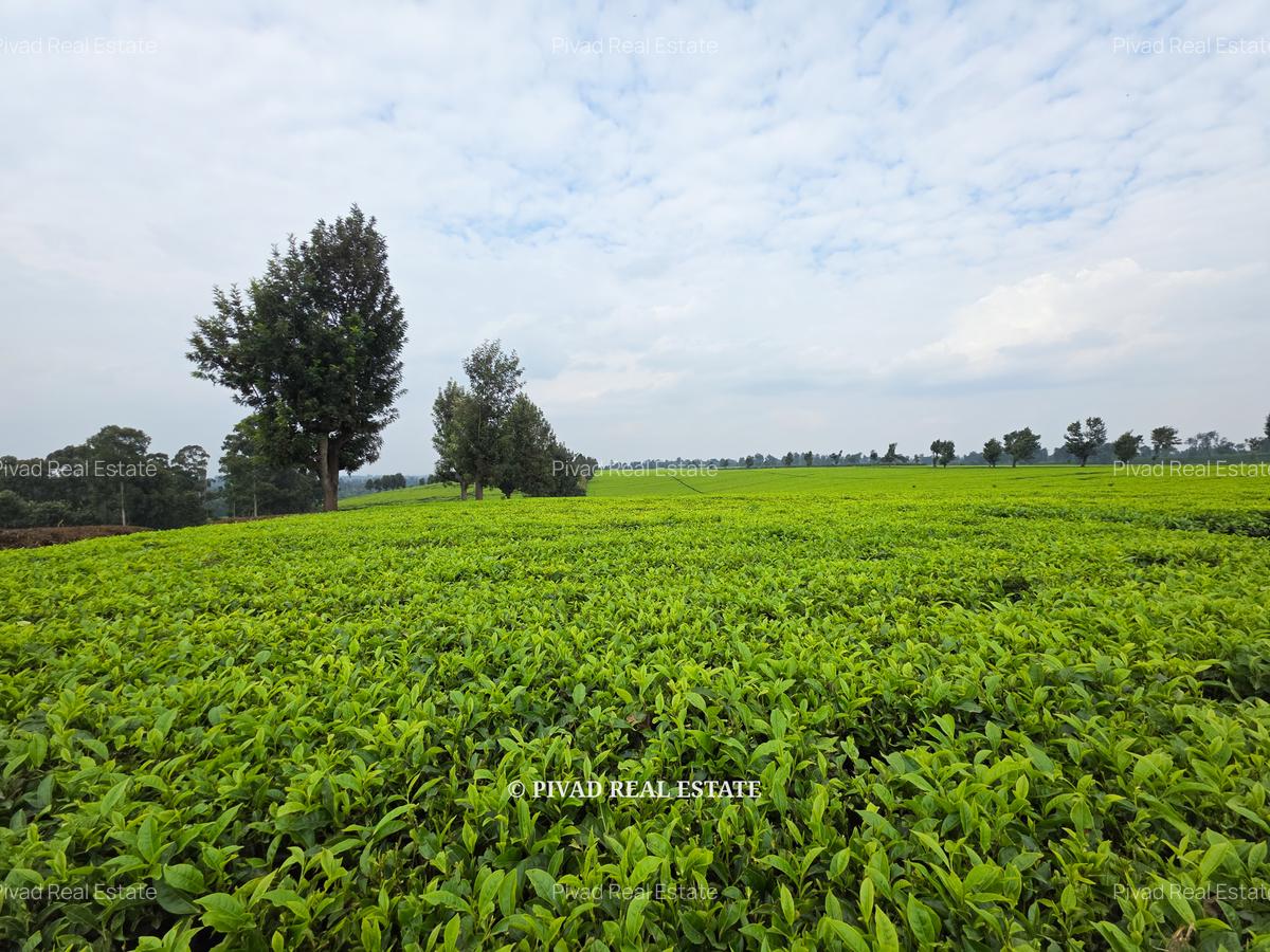 995 ac Land in Tigoni - 10