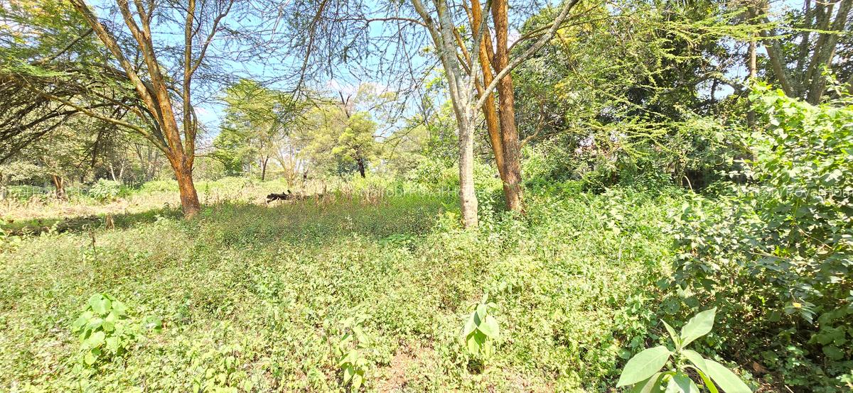 Residential Land at Spring Valley Lower Kabete - 18