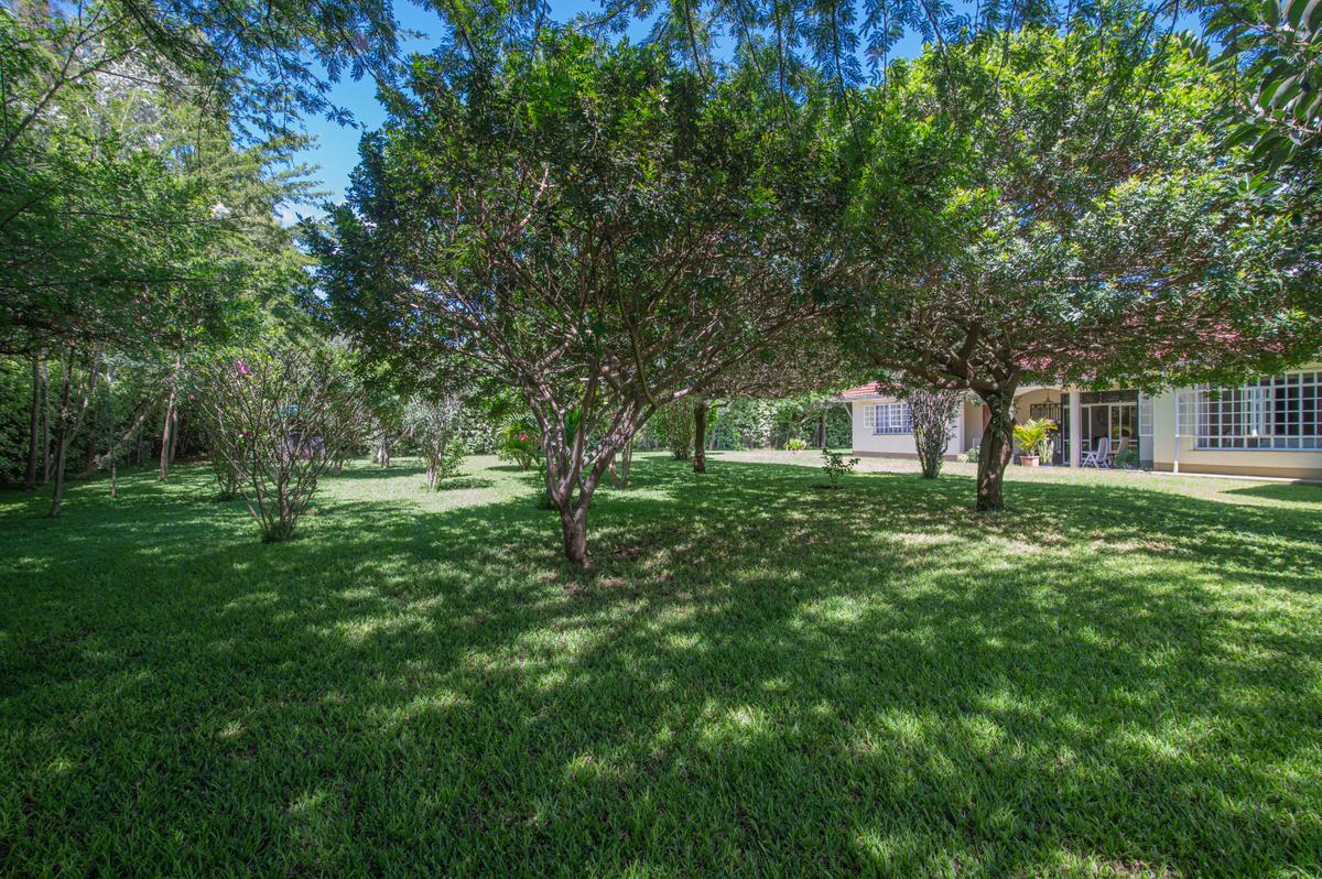 4 Bed Villa at Korompoi - 5