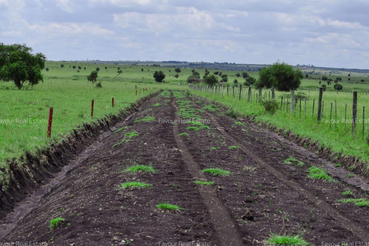 Residential Land at Kitengela Ostrich Farm - 6