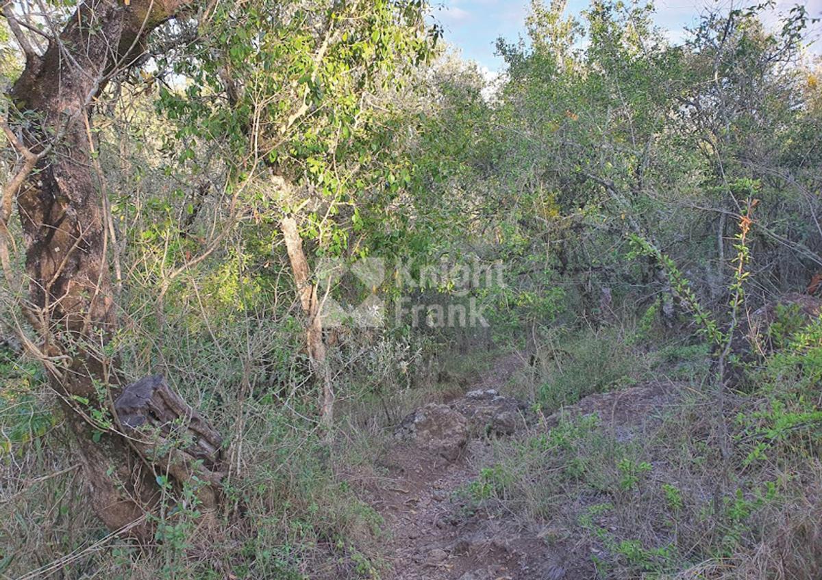 10 ac Land in Nanyuki - 7