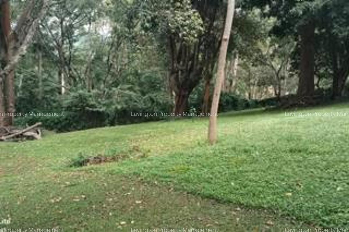 0.75 ac Residential Land at Mageta Road - 2