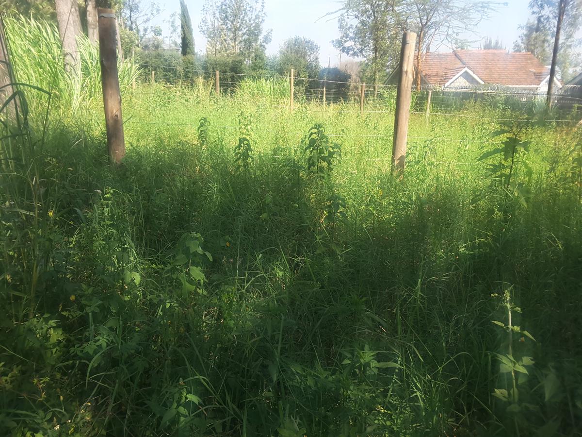 0.113 ac Residential Land in Ongata Rongai - 6