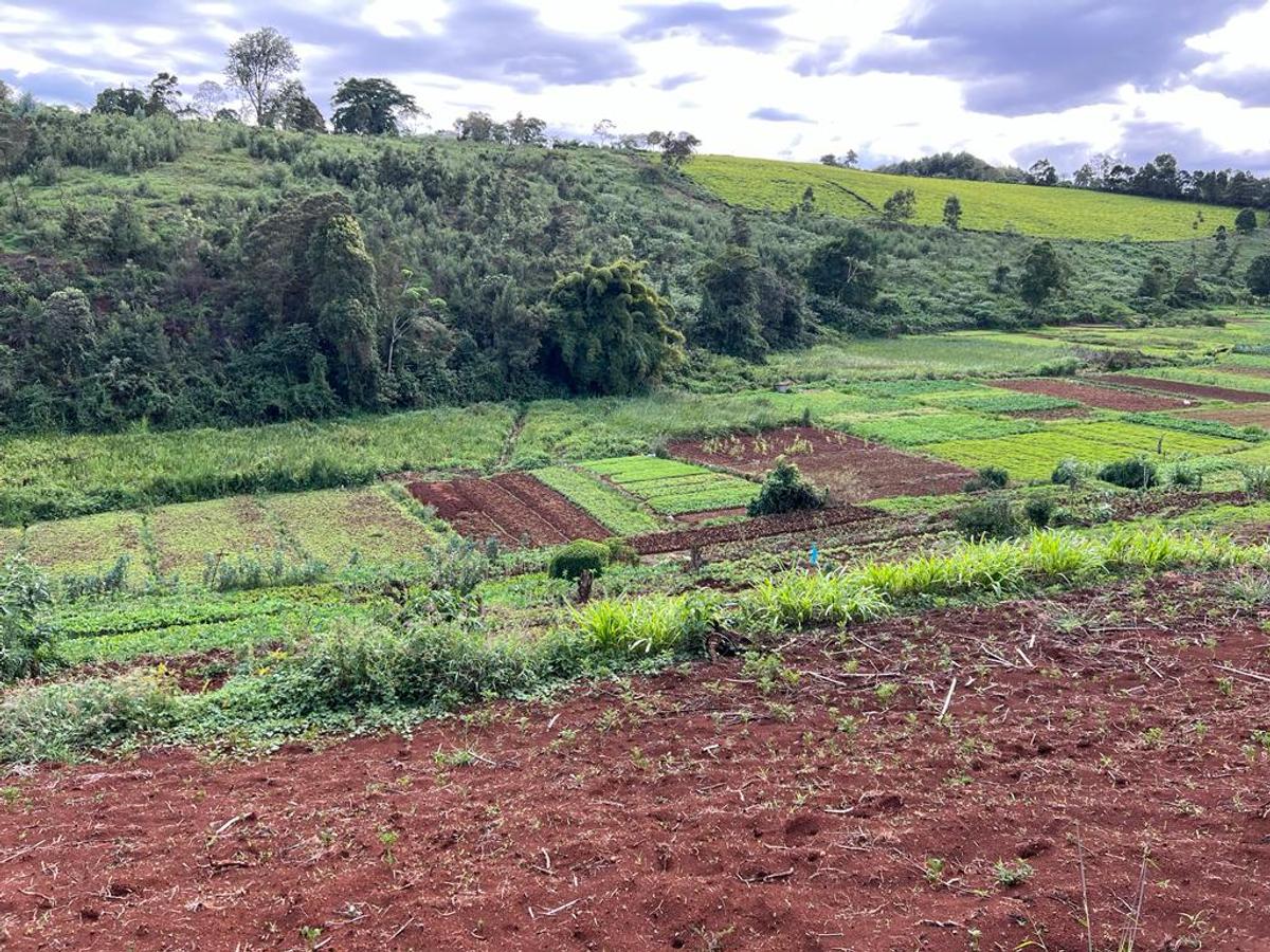 Land in Tigoni - 3