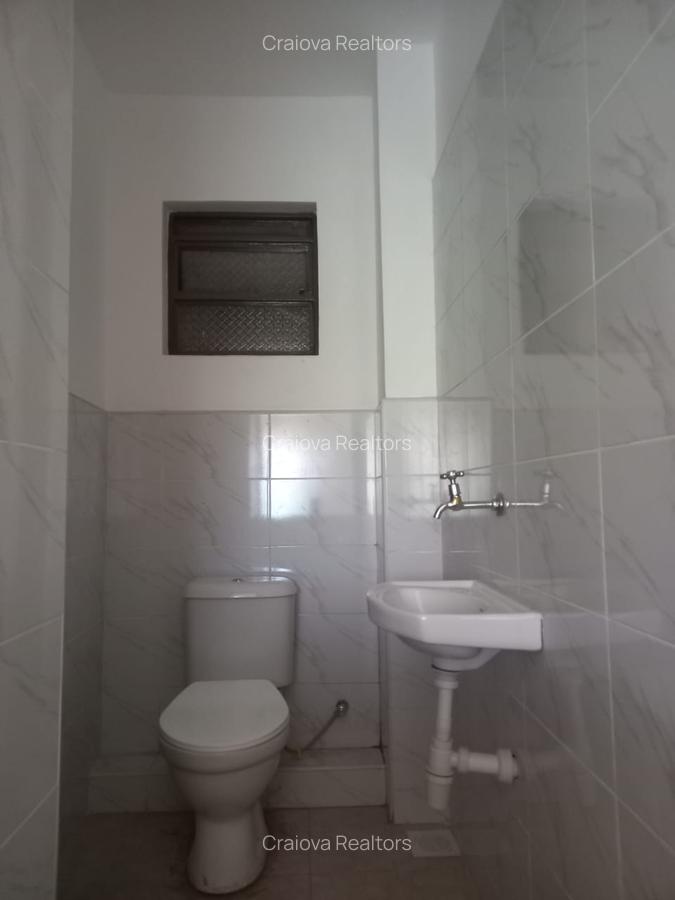 Studio Apartment with En Suite at Naivasha Road - 6