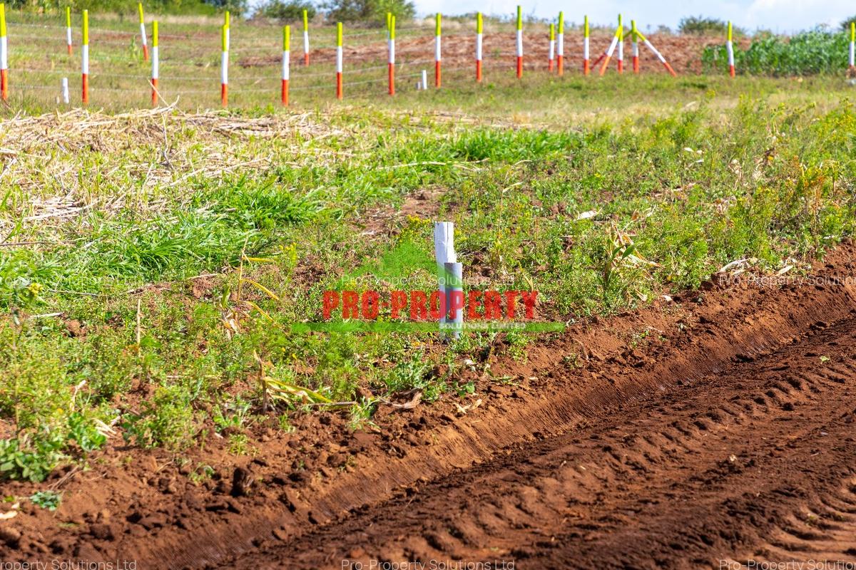 0.05 ha Residential Land at Nachu - 4