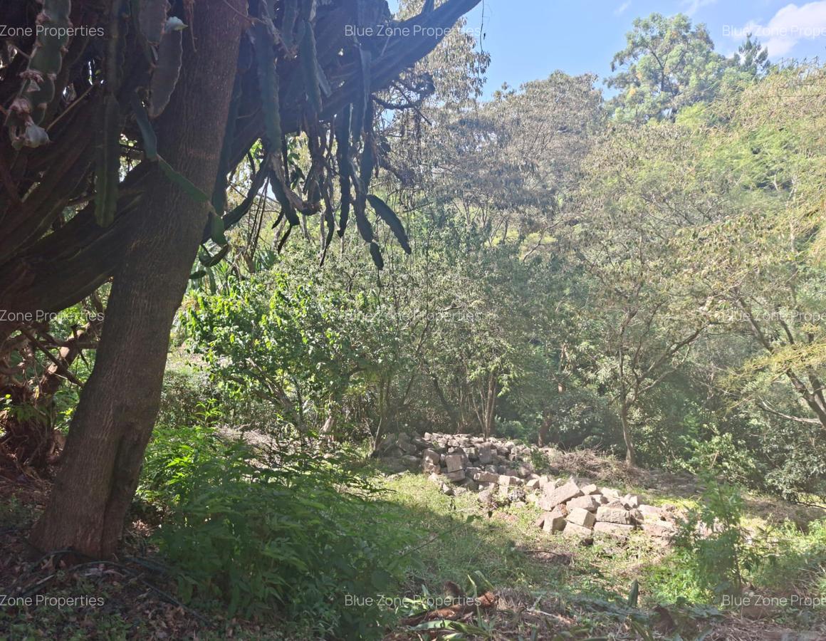 0.75 ac Residential Land at Off Naivasha Avenue - 9