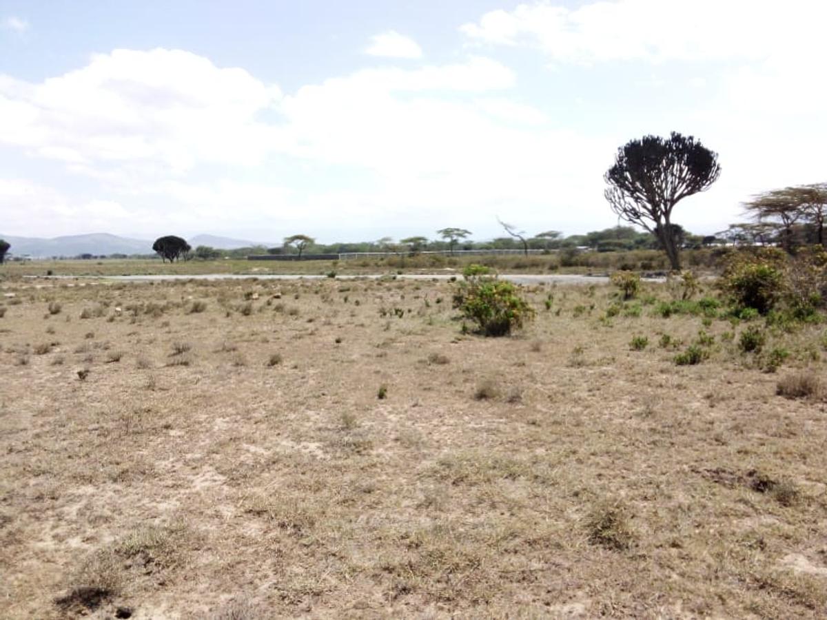 Land in Naivasha - 7