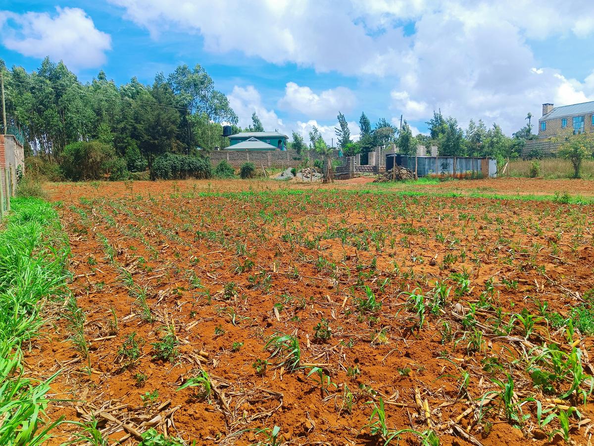 500 m² Residential Land at Nairobi Ndogo Estate - 7