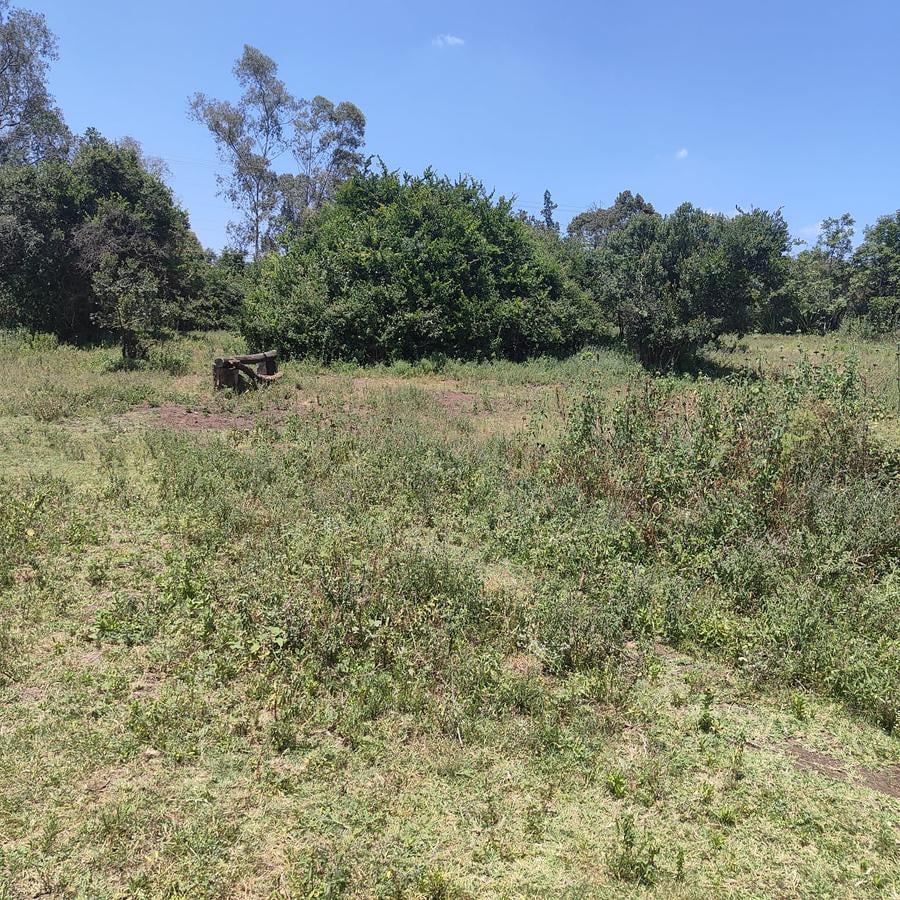 1 ac Land at Ndovu Road - 5