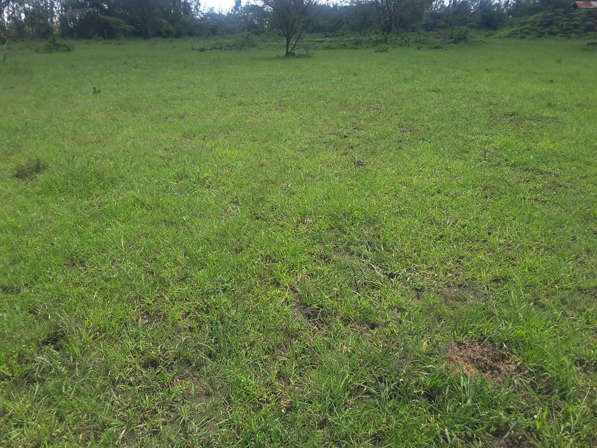 2 ac Land in Ongata Rongai - 9