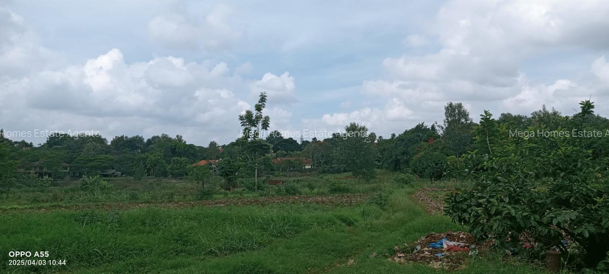2 ac Land in Runda - 4