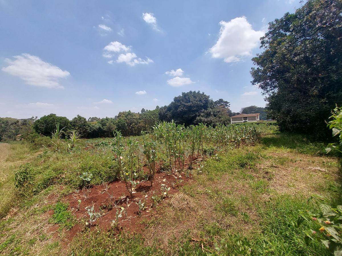 Residential Land at Kinanda Road - 3