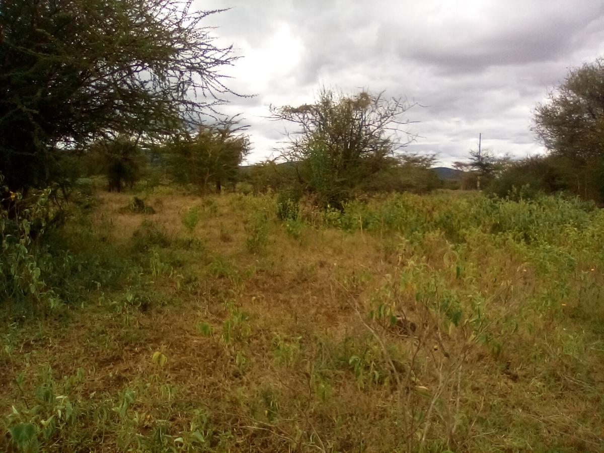 Land at Namanga Rd - 3