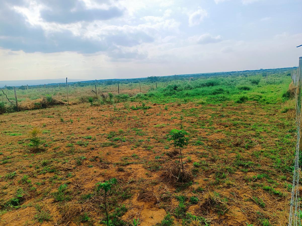 500 m² Residential Land at Ndiuni - 6