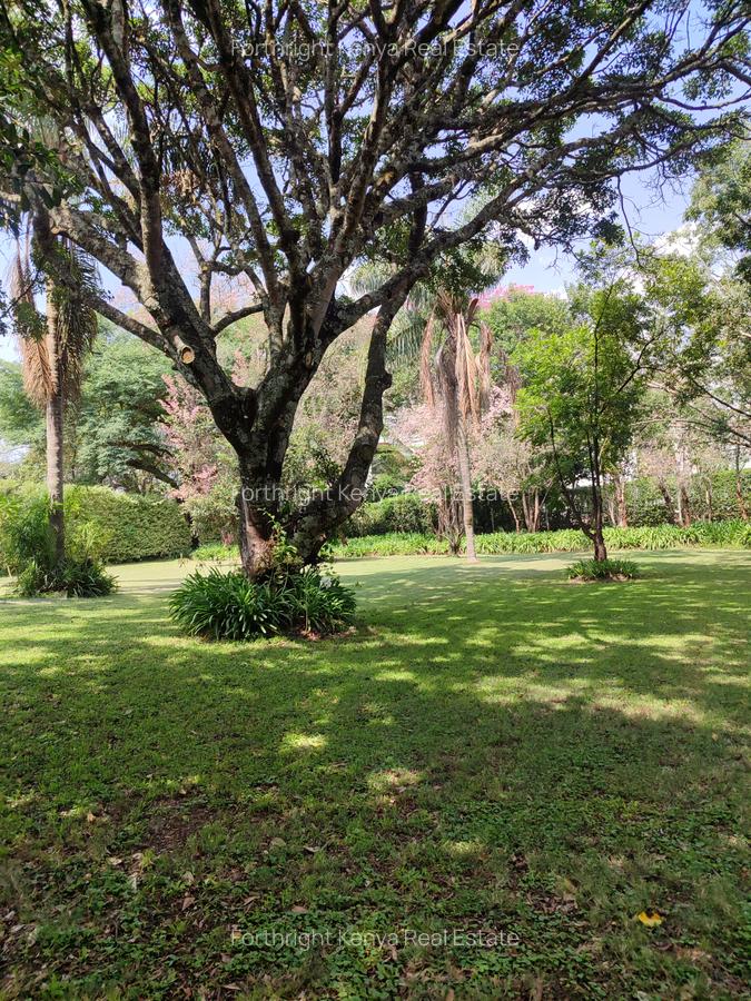 1 ac Land at Ndege Road - 9