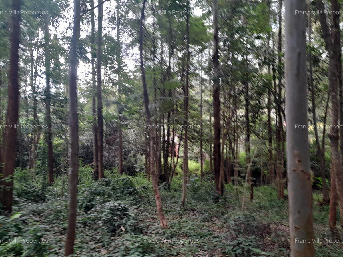 0.5 ac Residential Land at Old Kitisuru - 4