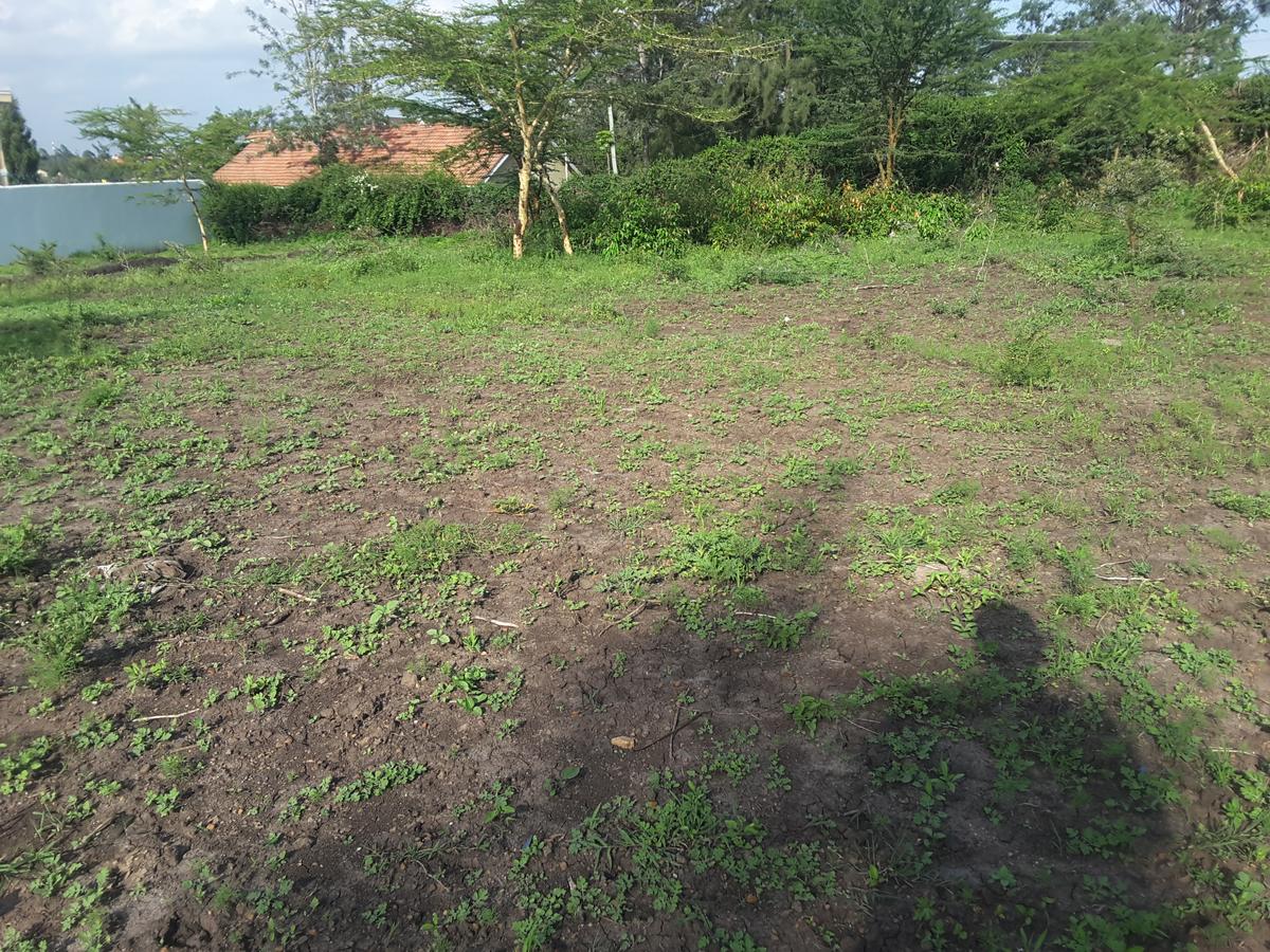 0.25 ac Residential Land in Ongata Rongai - 5