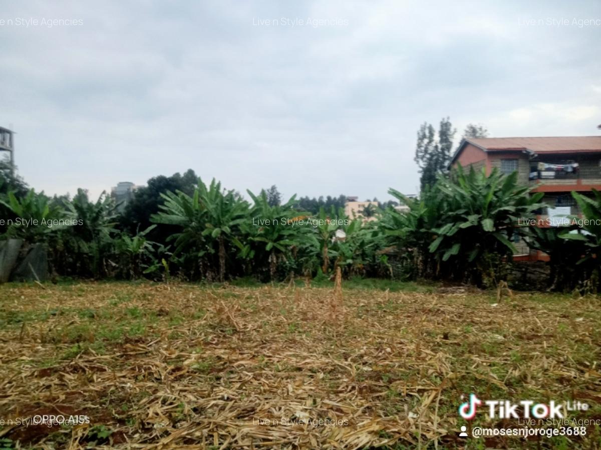 Commercial Land in Ruaka - 10
