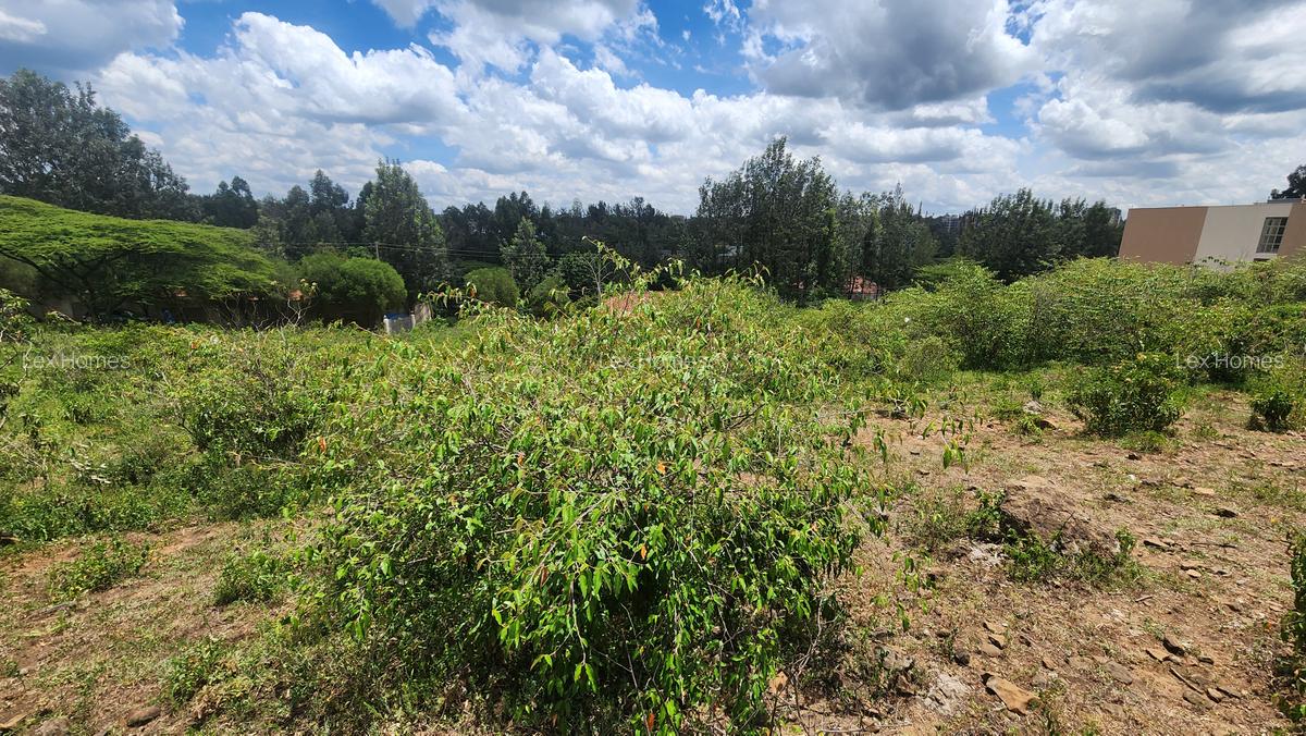 0.2 ha Commercial Land at Merisho Road - 8