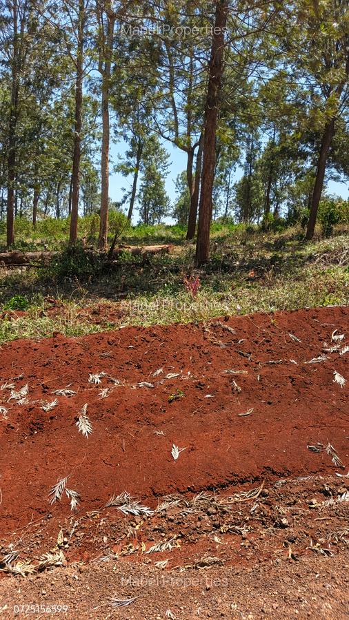 Residential Land at Ruiru-Githunguri - 3