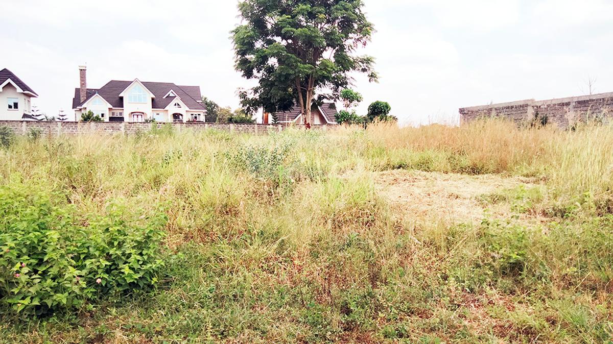 0.5 ac Land in Thika - 2