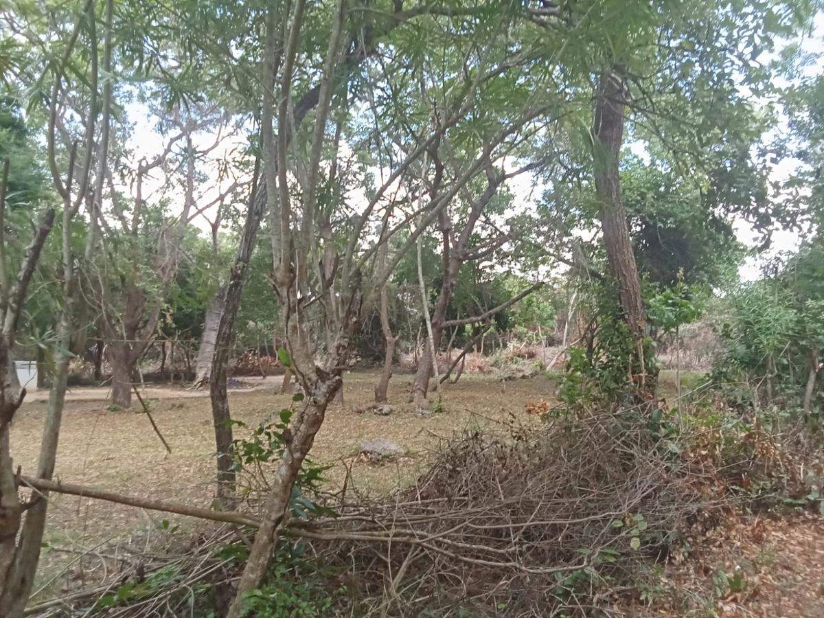 Land in Diani - 6