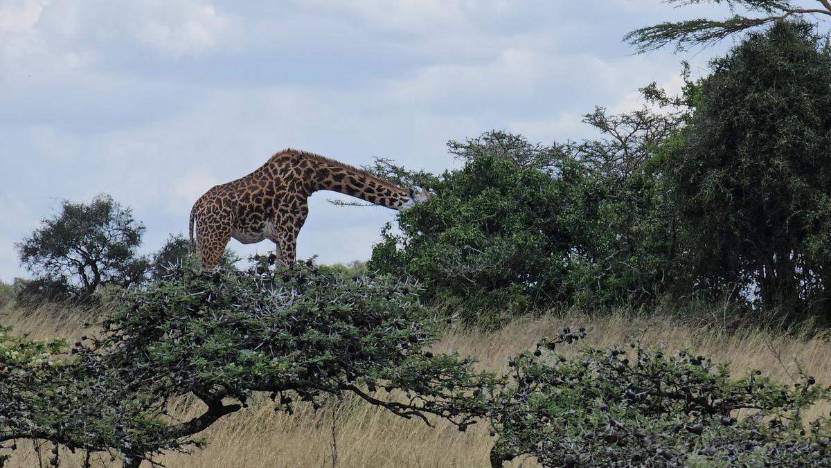 5,000 ac Land at Mombasa Road - 2