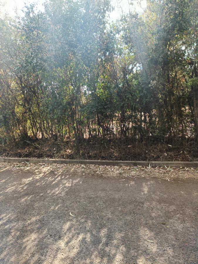 Residential Land at Tumbili Road - 13