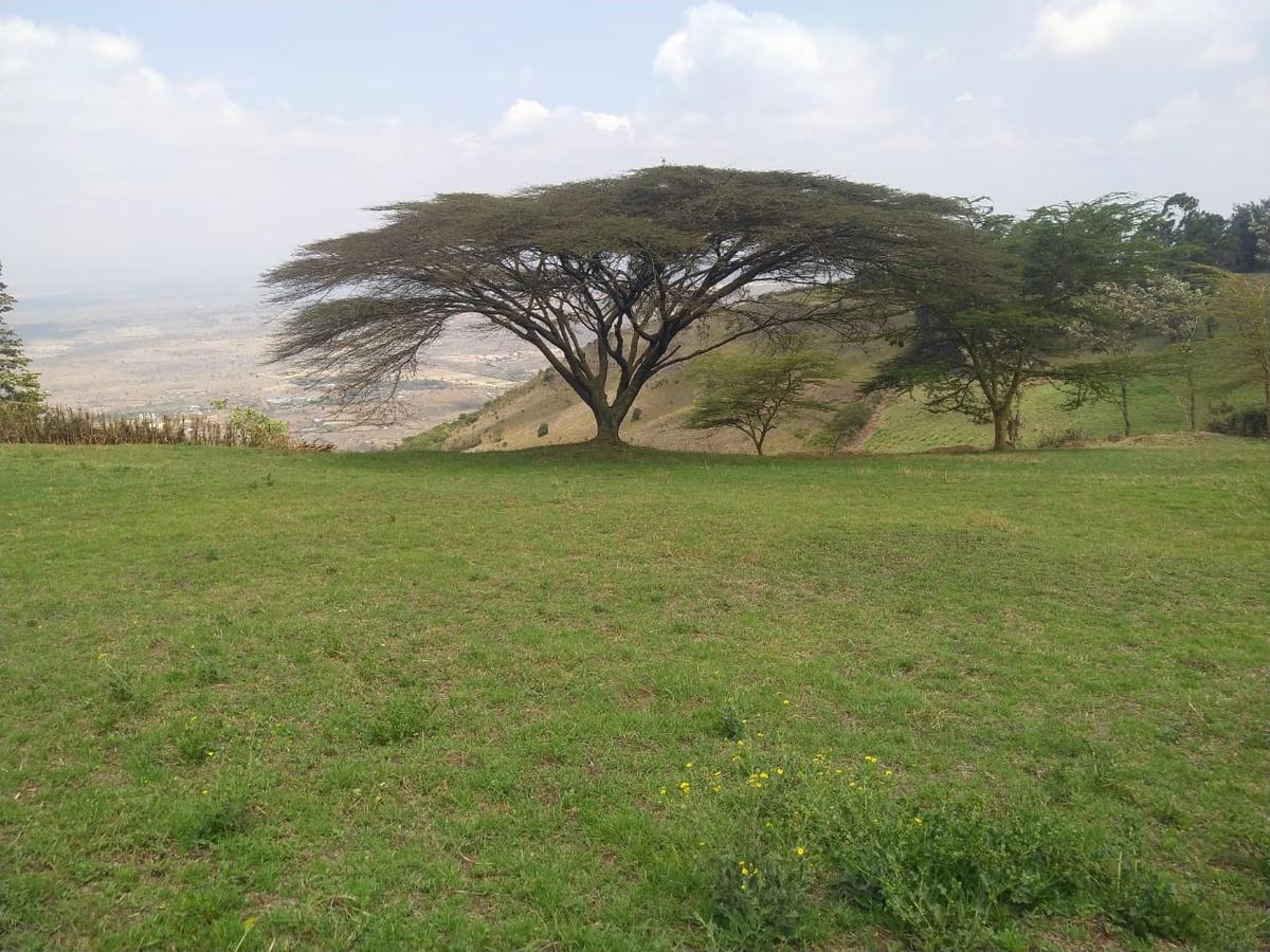 0.25 ac Land in Ngong - 2