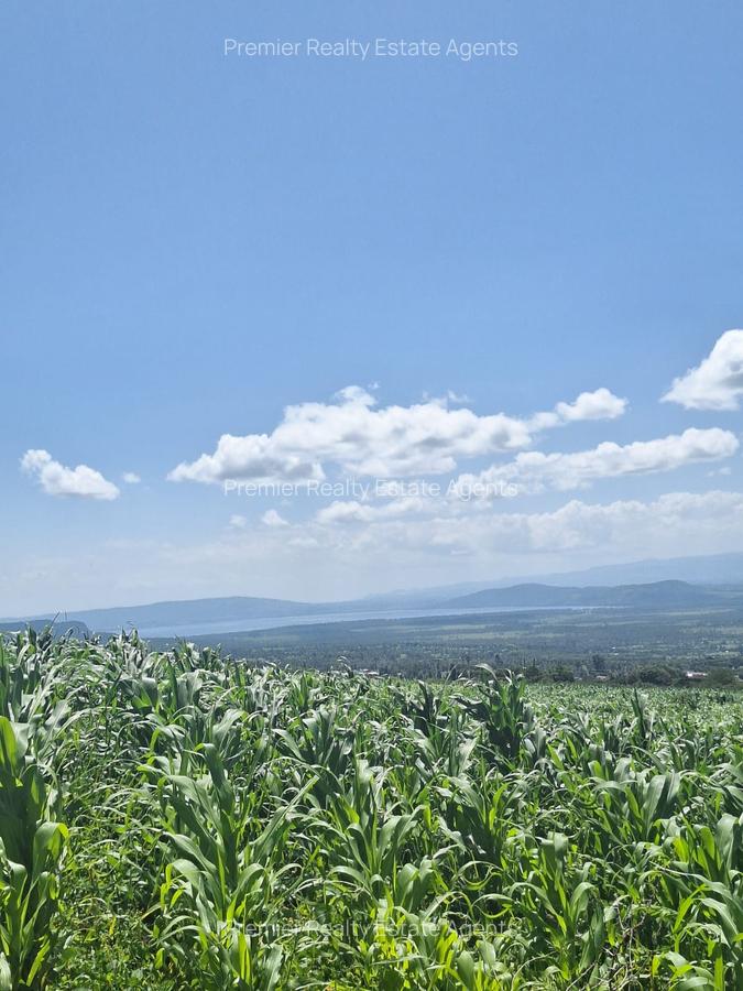 0.25 ac Residential Land at Nakuru - 9